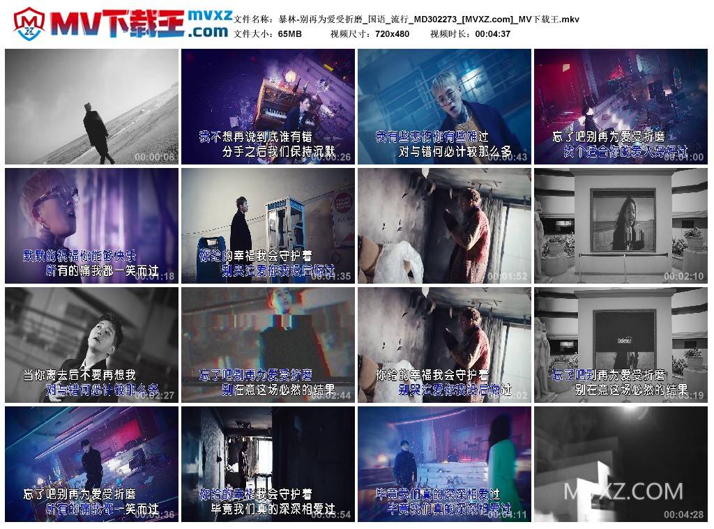 暴林-别再为爱受折磨_国语_流行_MD302273